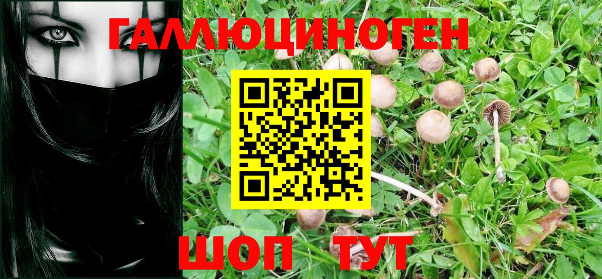 Карталы  Псилоцибиновые грибы Magic Shrooms  Вход с VPN 