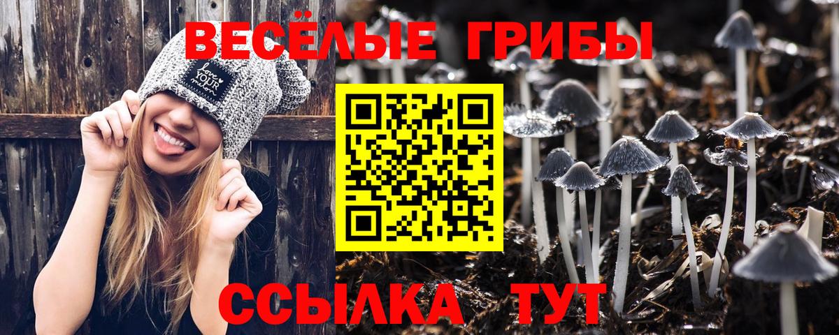 Галлюциногенные грибы Psilocybine cubensis Карталы